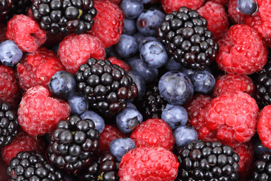 What Fruits Are Allowed On A Carnivore Diet