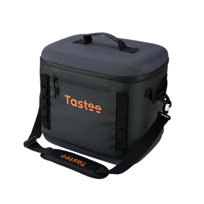 Tastee Air Fryer Travel Carry Case